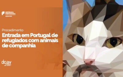 Entrada em Portugal de refugiados com animais de companhia